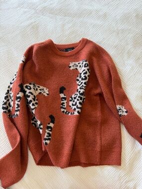 VICI Rust Orange Leopard Intarsia Crewneck Sweater